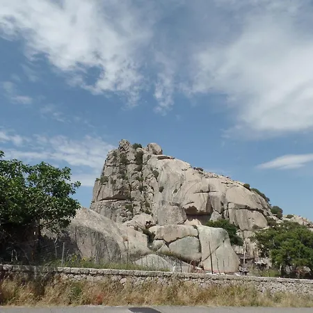 Gallura Experiences Li Criasgi דירה